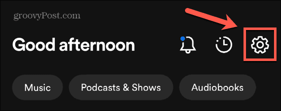 نماد تنظیمات spotify
